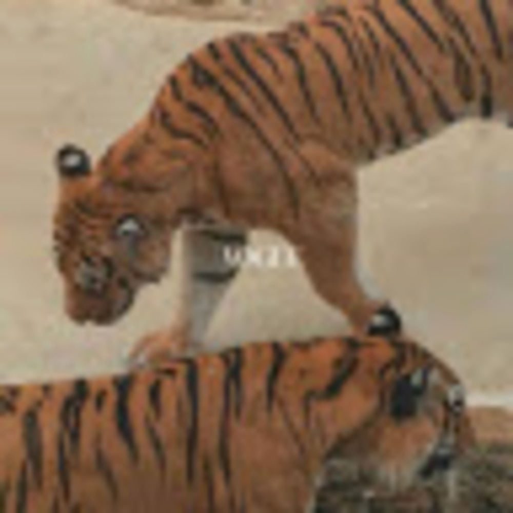 Meet your Posher, Sophia